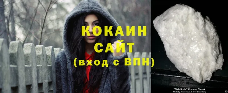 купить  сайты  Нерехта  Cocaine Перу 